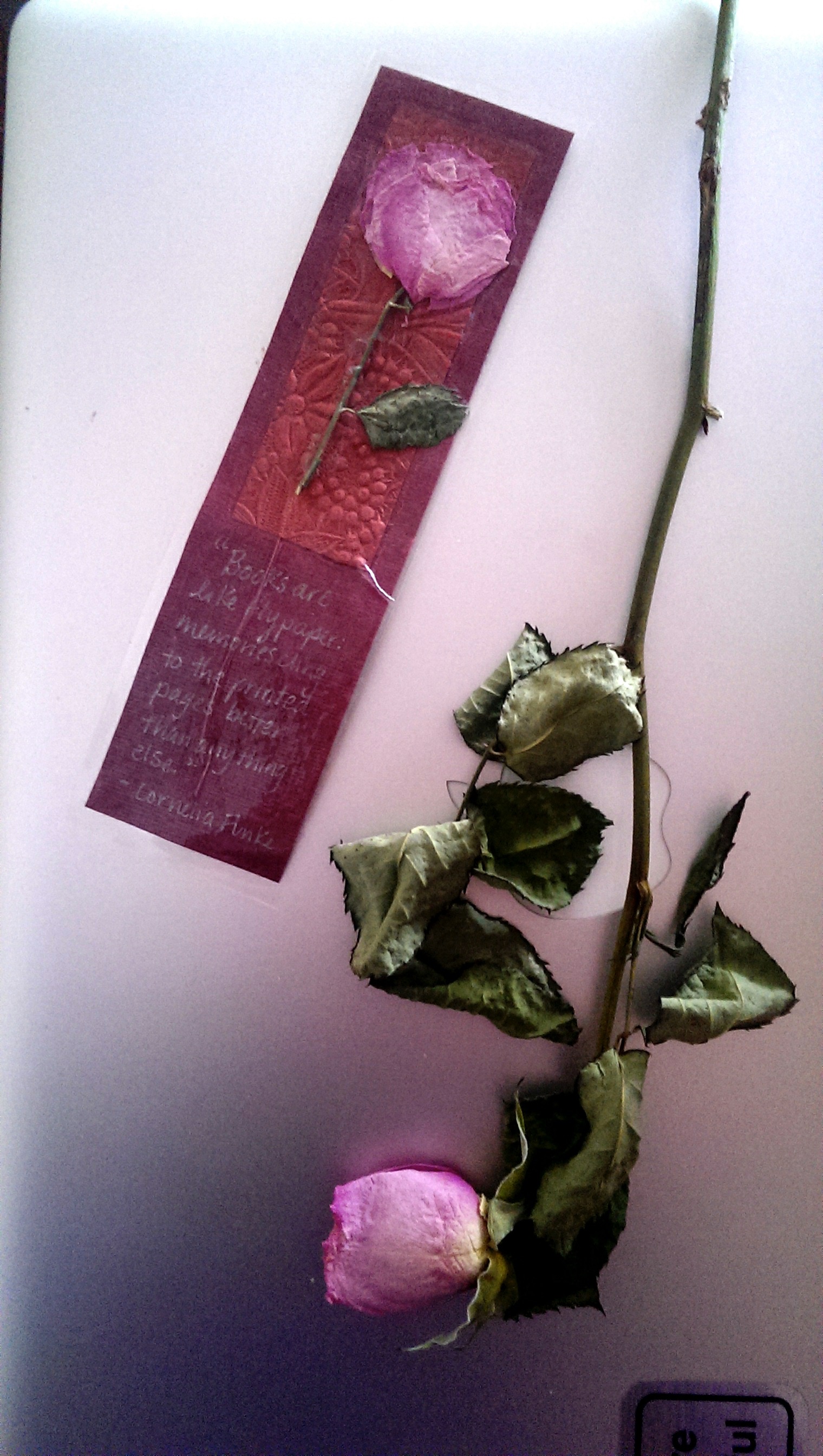 Pressed flower bookmark